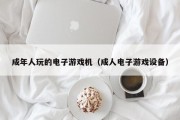 成年人玩的电子游戏机（成人电子游戏设备）