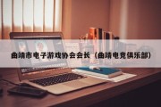 曲靖市电子游戏协会会长（曲靖电竞俱乐部）