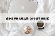 南非世界杯足球比赛（南非世界杯现场）
