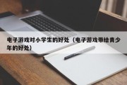 电子游戏对小学生的好处（电子游戏带给青少年的好处）