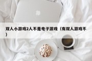 双人小游戏2人不是电子游戏（有双人游戏不）