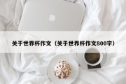 关于世界杯作文（关于世界杯作文800字）
