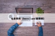 毛世界杯（here i am 世界杯）