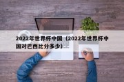 2022年世界杯中国（2022年世界杯中国对巴西比分多少）