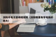 浏阳市电子游戏培训班（浏阳哪里有学电脑的地方）
