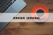 世界杯禁药（世界杯禁区）
