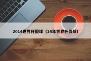 2014世界杯假球（14年世界杯假球）