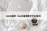 wade篮球（wade篮球属于什么档次）