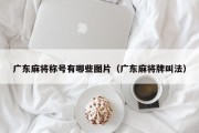 广东麻将称号有哪些图片（广东麻将牌叫法）