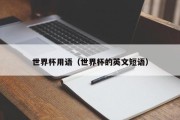 世界杯用语（世界杯的英文短语）