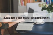 小方向盘电子游戏怎么玩（方向盘驾驶游戏）