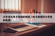 小学生玩电子游戏的现状（电子游戏对小学生的危害）