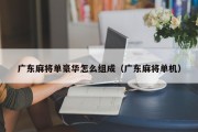 广东麻将单豪华怎么组成（广东麻将单机）