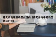 师兄弟电子游戏怎么玩的（师兄弟电子游戏怎么玩的好）