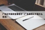 广东红中麻将宜春搭子（广东麻将红中是什么意思）